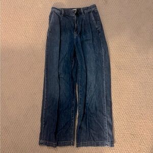 Madewell Women SZ 27 The Harlow Wide-Leg Jean Airy Denim Edition Pleated Baggy